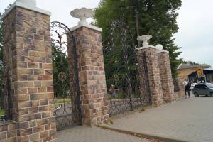 Старинный парк в Клинцах останется без деревьев?