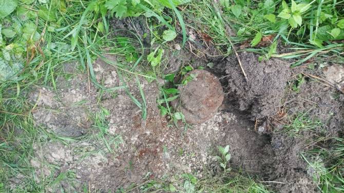 В Брянском районе нашли 2 противопехотные мины
