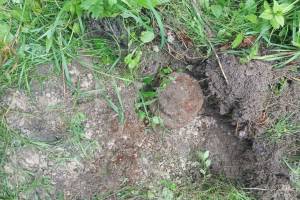 В Брянском районе нашли 2 противопехотные мины