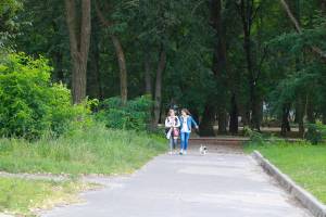 В Пушкинский парк Бежицы могут вернуть детскую площадку