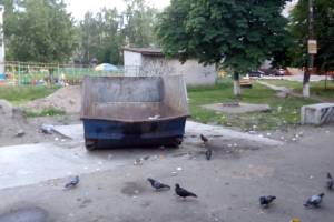 В Брянске ликвидировали мусорную кучу на улице Шолохова