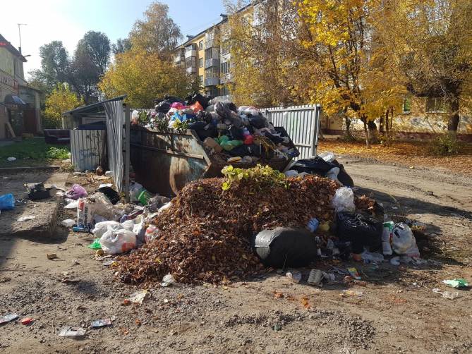 Жители Фокинского района пожаловались на свинарник по улице Котовского