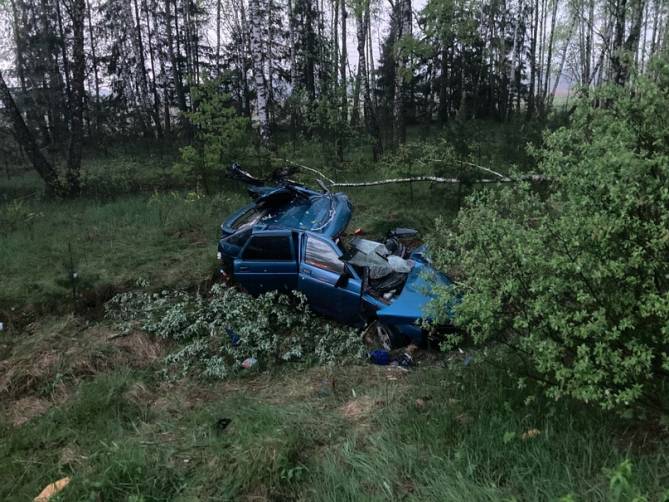 В Выгоничском районе погиб 24-летний водитель ВАЗ
