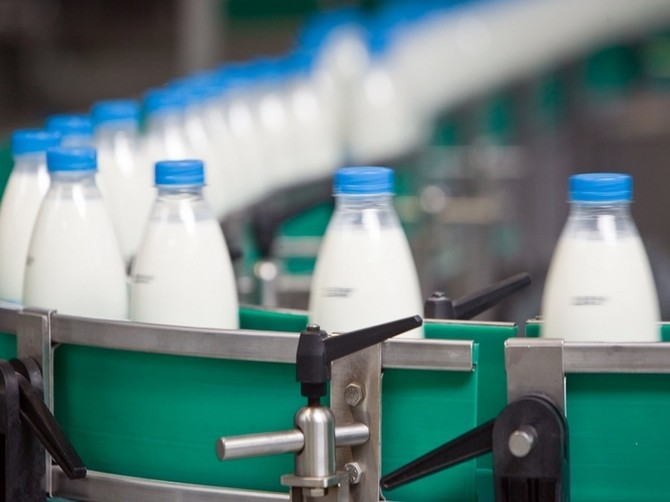 Брянские торговые сети предупредили о фальсифицирующих молочку предприятиях
