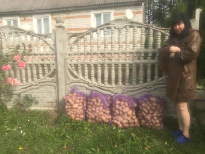 У жителей Дубровки вместе с мусором забрали мешки с картошкой