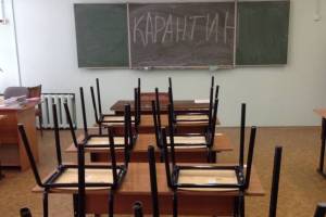 В Новозыбкове из-за заболевших школьников закрыли на карантин 6 классов