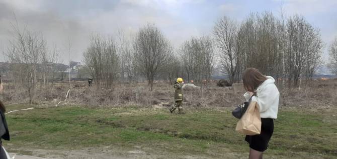 В Брянске на тушение поля возле «Аэропарка» выехали спасатели