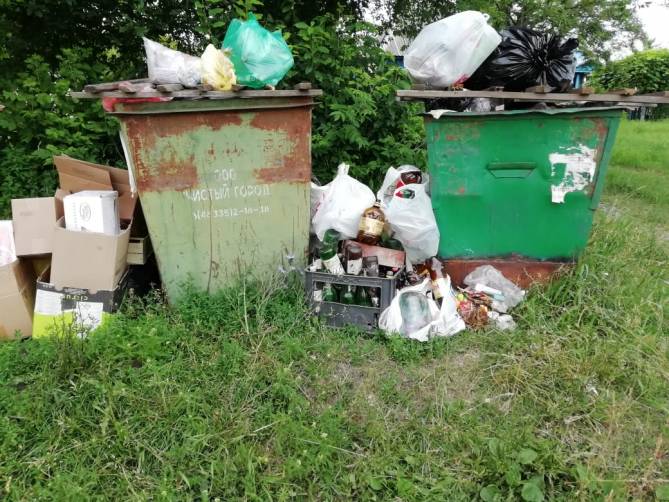 Жители брянского села пожаловались на мусорный апокалипсис