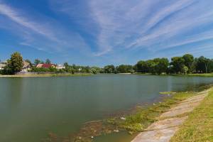В озере Карна в центре Новозыбкова нашли бактерии из канализации