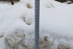 В Навле и Брасово чиновников наказали за снежные завалы на дорогах
