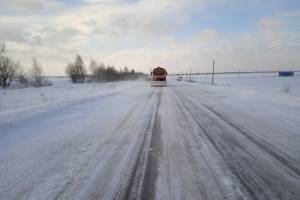 В Брянской области на борьбу со снегопадом вышли 158 единиц техники