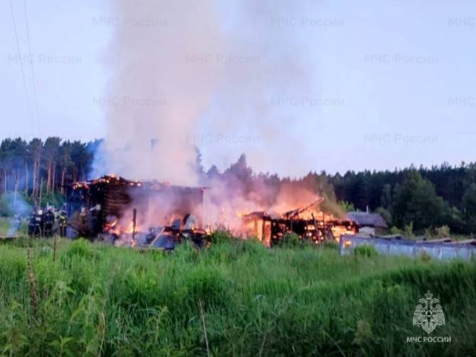 За неделю в Брянской области произошло 36 пожаров