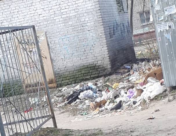 В Брянске обнаружили мусорные завалы на Новом городке