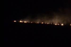 Брянцы сообщили о поджоге травы в микрорайоне Отрадное