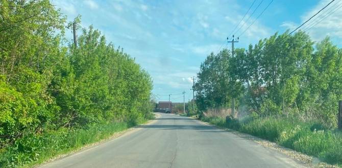 Выгоничских чиновников заставили оборудовать дорогу знаками и тротуаром в селе Палужье
