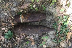 В лесу под Новозыбковом обнаружили два артиллерийских снаряда