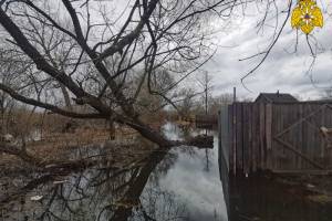 В Брянске разлившаяся Болва затопила приусадебный участок на улице Черниговской