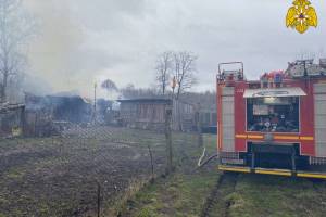 При пожаре в стародубском селе пострадал человек