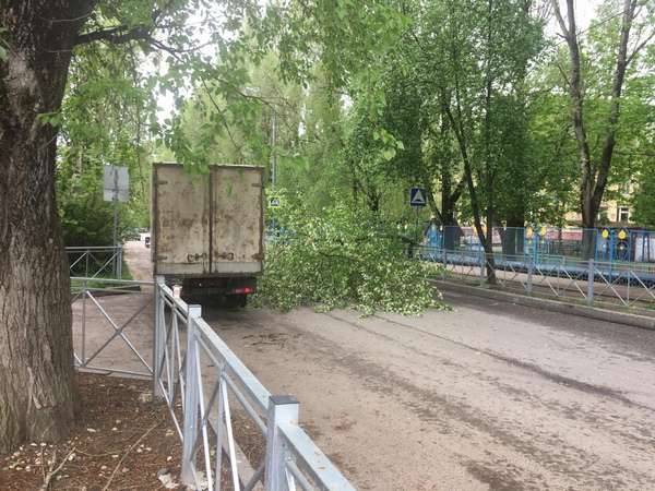 В Брянске возле детсада «Добрынюшка» дерево упало на дорогу