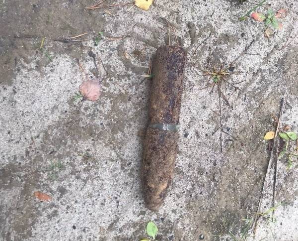 В лесу около посёлка Нежданово под Унечей нашли артиллерийский снаряд