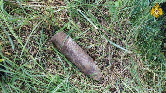 В поле возле брянского поселка Дубрава нашли артиллерийский снаряд