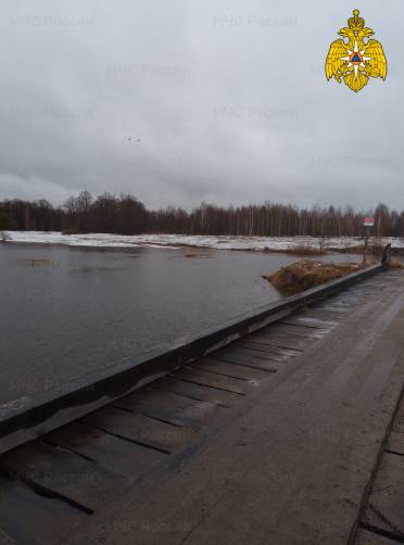 В Рогнединском районе затопило дорогу между двумя сёлами