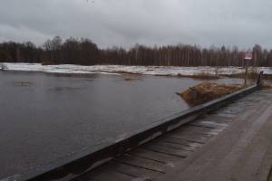 В Рогнединском районе затопило дорогу между двумя сёлами