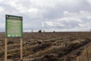 На Брянщине заложили геоглиф в виде эмблемы лесного хозяйства России