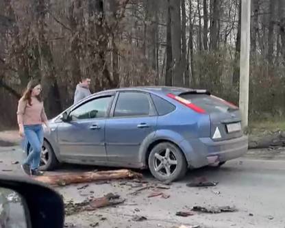 В Брянске дерево рухнуло на проезжающую машину