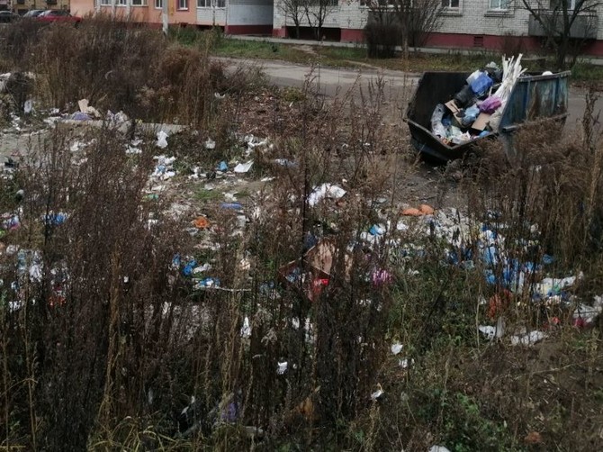 В Брянске сняли на фото стихийную свалку на Макаронке