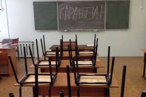 В Брянской области из-за COVID-19 на карантин ушли 25 классов
