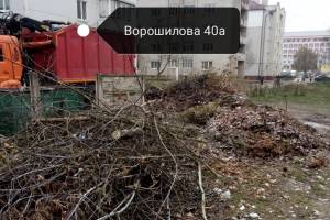 В Клинцах коммунальщики превратили мусорные площадки в свалки