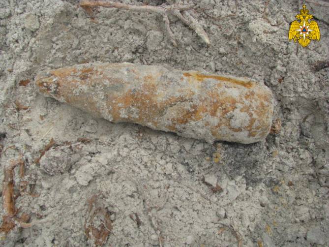 В лесу под Навлей нашли 11 боеприпасов времён войны
