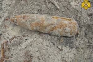 В лесу под Навлей нашли 11 боеприпасов времён войны