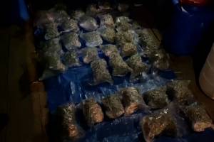 В гараже у 26-летнего жителя Трубчевска нашли 15 килограммов марихуаны