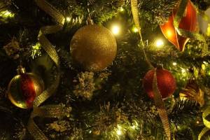 В центре Новозыбкова установили новогоднюю елку