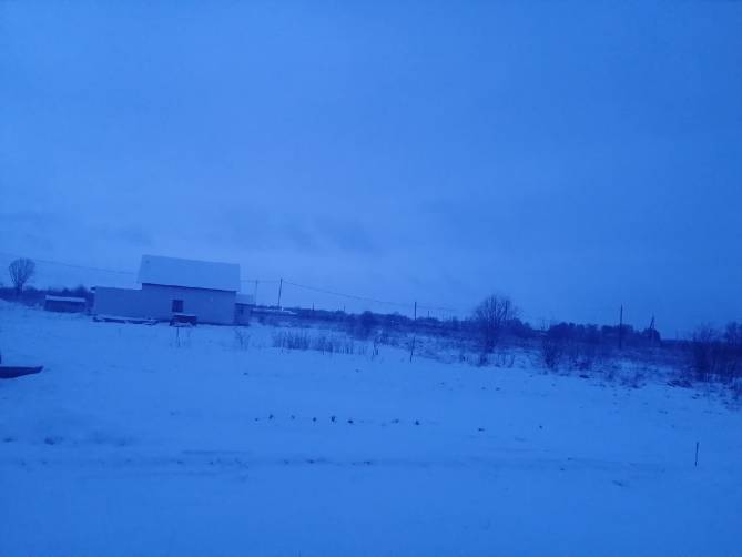Брянскую область за ночь замело снегом