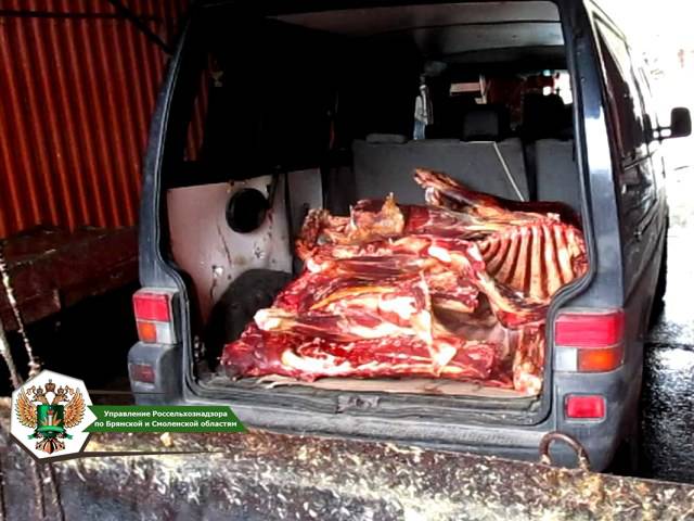Белорус попытался ввезти на Брянщину 300 кг подозрительного мяса