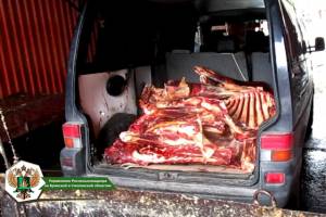 Белорус попытался ввезти на Брянщину 300 кг подозрительного мяса