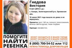 Брянские волонтеры помогают в поисках 9-летней Виктории Гнедовой из Орловской области
