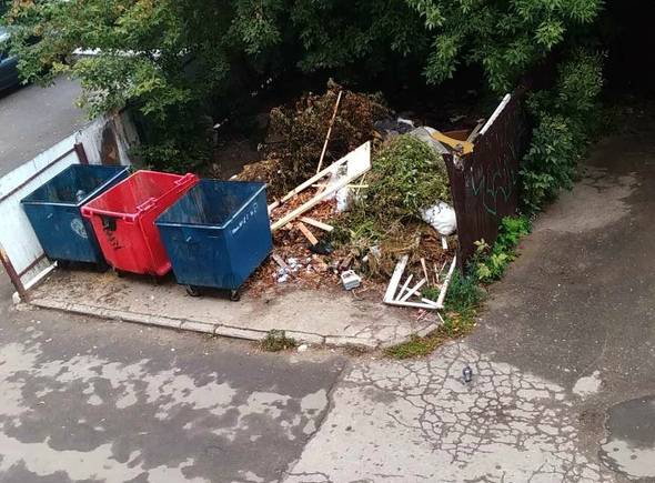 В Брянске мусорная площадка превратилась в уютный домик для крыс