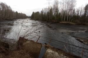 В Брянском районе из-за прорыва плотины погибло лесное озеро