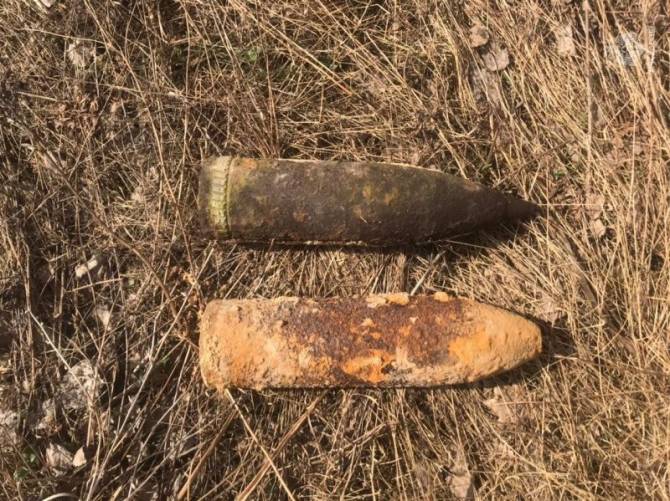 В поле возле навлинского села нашли два артиллерийских снаряда