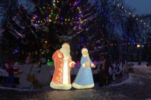 В Брянске полицейские будут дежурить возле елок всю новогоднюю ночь