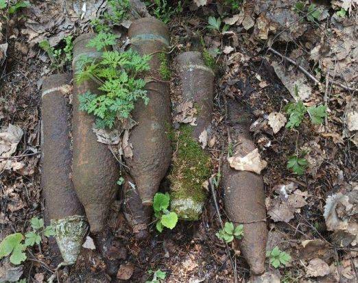 В лесу возле Погара нашли шесть артиллерийских снарядов