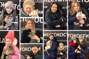 В Брянске новых хозяев нашли 24 бездомных кошки
