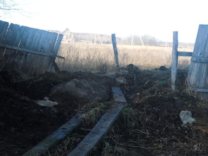 В Брянской области фермер закапывал мертвых поросят в навоз
