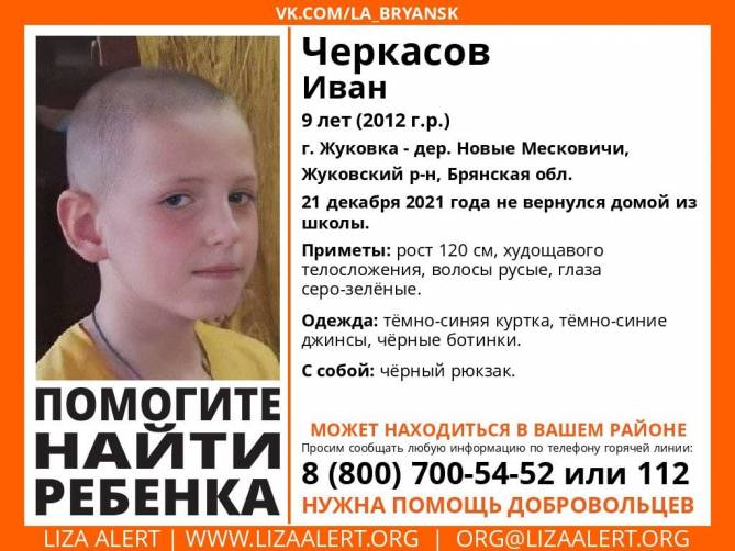 Под Жуковкой по дороге из школы пропал 9-летний Иван Черкасов