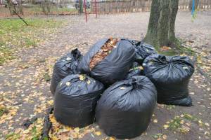 Брянские дворники закидали мусорные площадки листвой