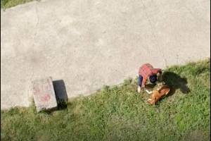 В Брянске сняли на видео агрессивную хозяйку пса